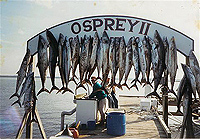 Fishing on St. Mary's River